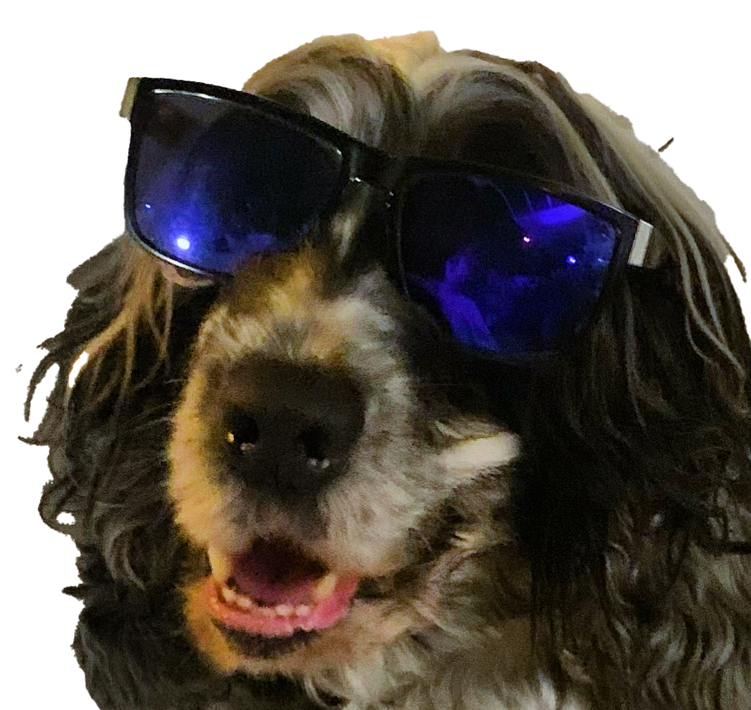 BenjiBoy